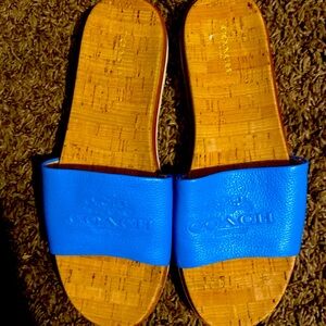 Coach Blue Slides